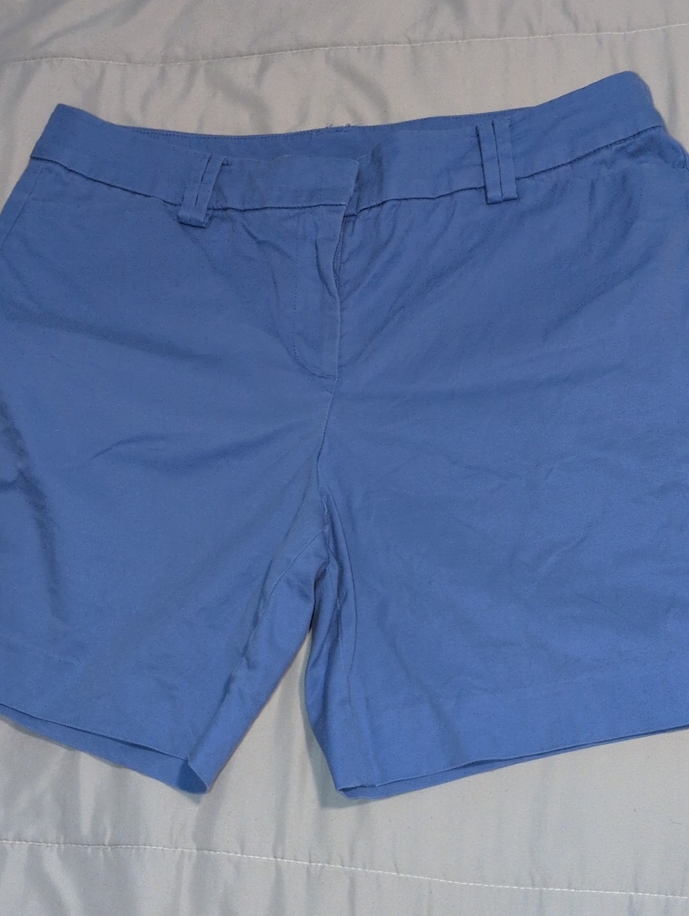 Talbots  Blue Shorts - Size 10